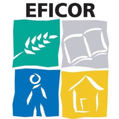 CSR EFFICOR programme logo